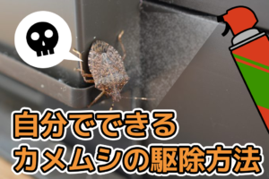 カメムシ　駆除方法